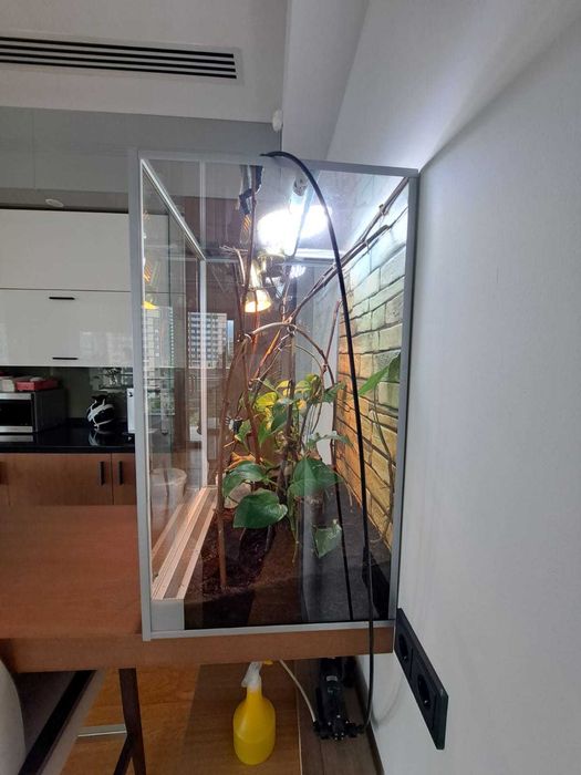 Террариум для рептилий