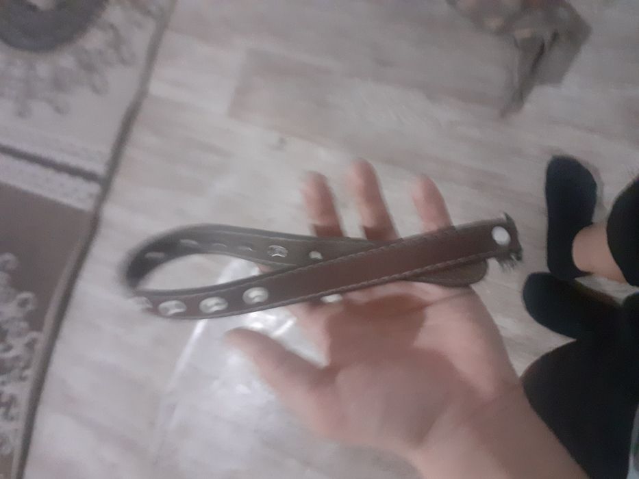 Ошейник для собаки