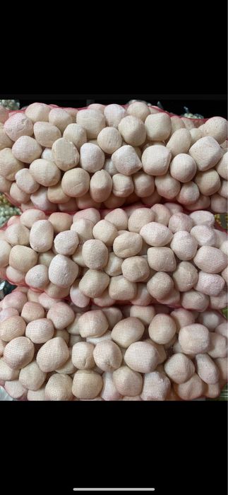 Курт оптом домашний