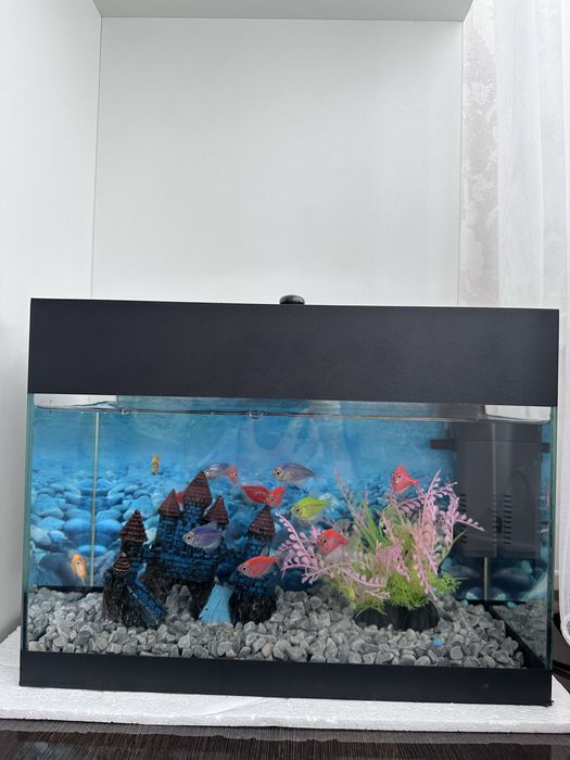 Продаю аквариум