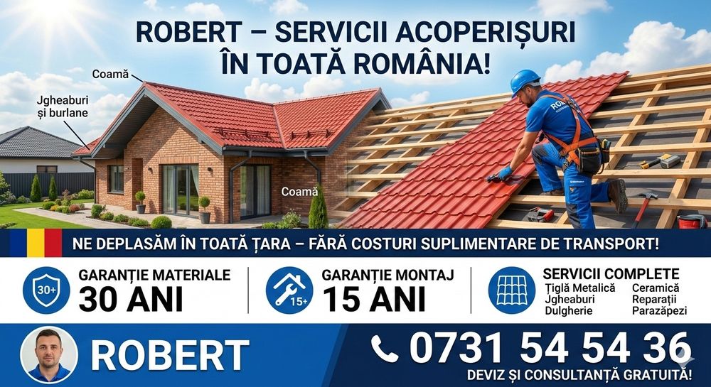 Construcții Acoperisuri Dulgherie Mansardare Reparații urgente