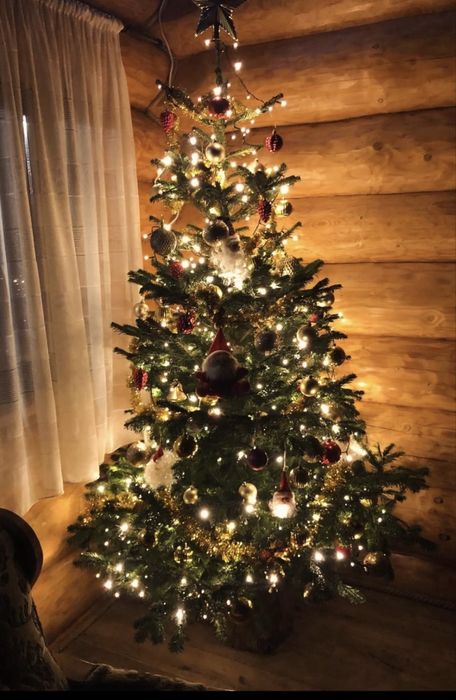 Cabana libera de Craciun Bucovina - Ciubar si Sauna