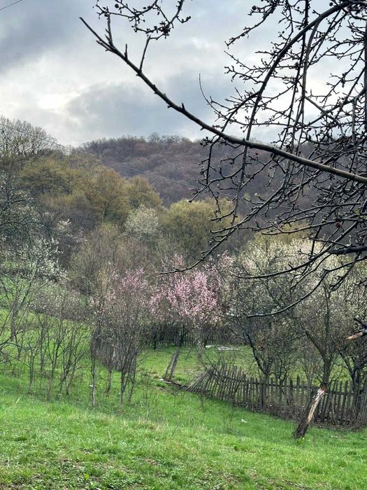 Teren + casă bătrânească la munte judet Vâlcea