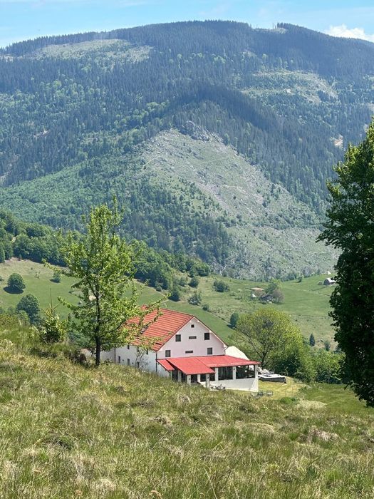 Teren de vânzare