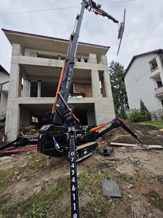 Minimacara macara spiders