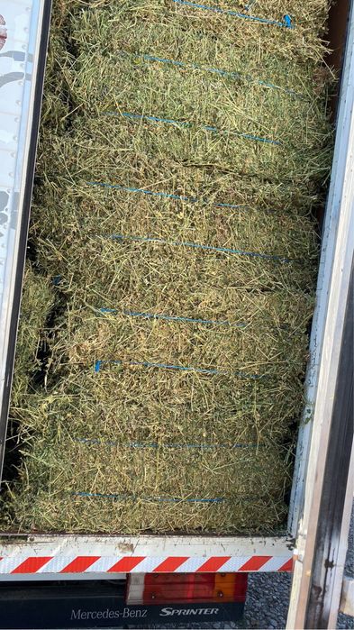 Baloti de lucerna coasele 1-2-3