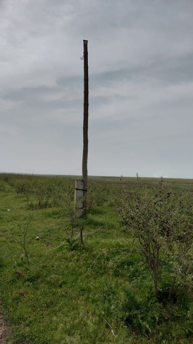 Столбы ағаш жақсы жағдайда