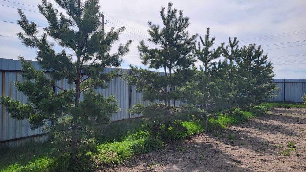 Продам земельный участок