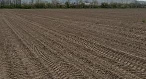 Vând teren arabil 7,5 HA, zona IMB, Brăila