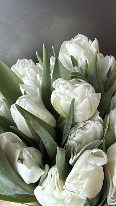 Пионовидные тюльпаны