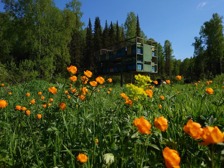 Мёд натуральный от пчеловода.