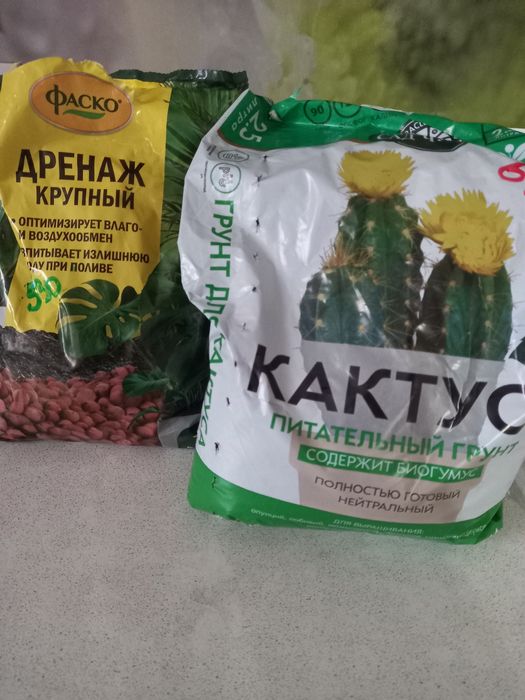 Комнатные цветы, рассады