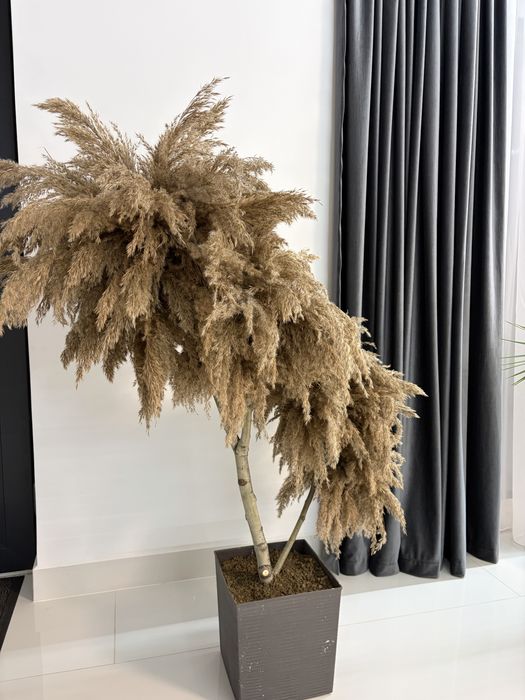 Aranjament decorativ cu Pampas Natural