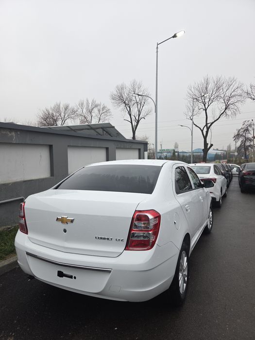 **Cobalt style msm 2026