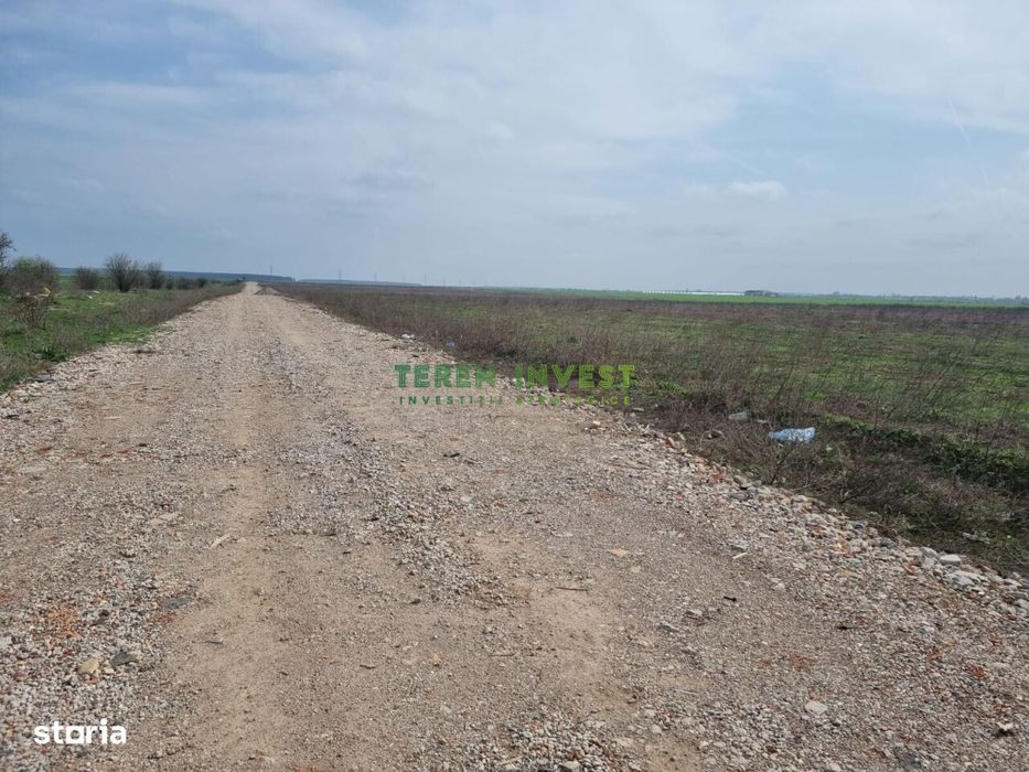 Teren Industrial 20.000 Mp - Tânganu - A2 Puz Aprobat