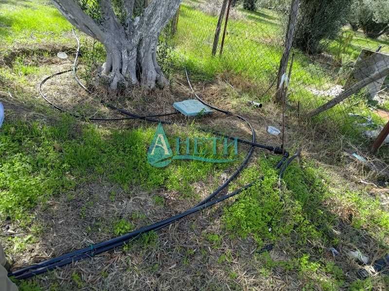 Парцел 1437м2 и75 маслинови дървета с.Волви, Аспровалта Гърция, с вода