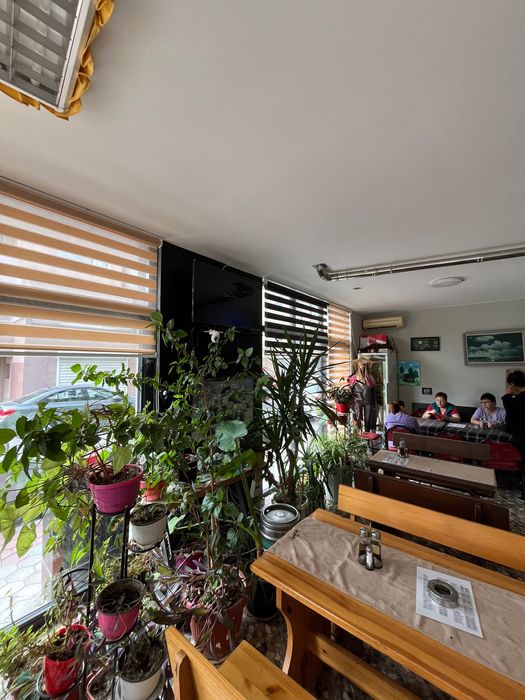 Собствен имот с утвърдено заведение – гр. Пловдив (частно лице)