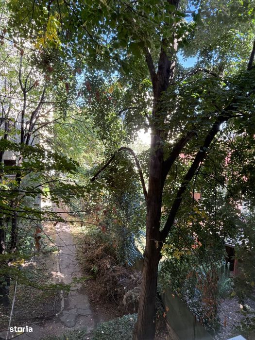 Ap 1 Cam | Buc Separata | Complex | Zona Linistita