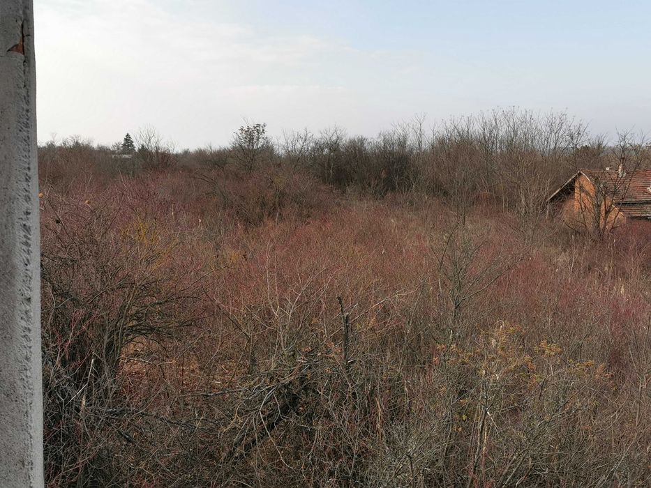 Продава се Земеделски имот в Лом -  кв.м за 2805 €/дка - Снимка #21