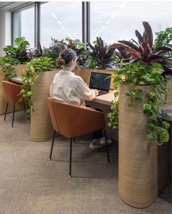 Озеленение помещений