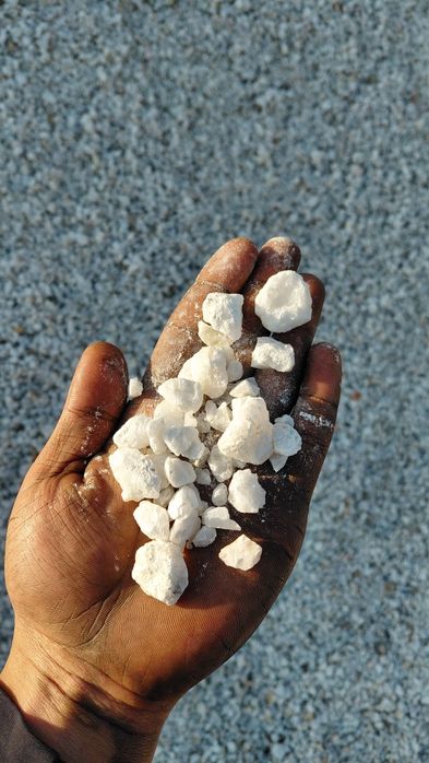 Мазайка мраморний