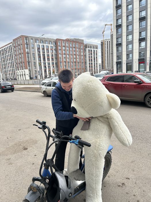 МИШКА срочно продаю