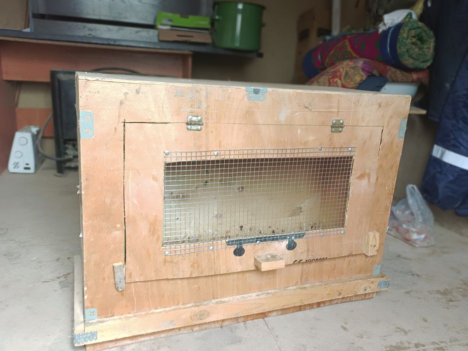 Брудер балапандарына араналған сатылады