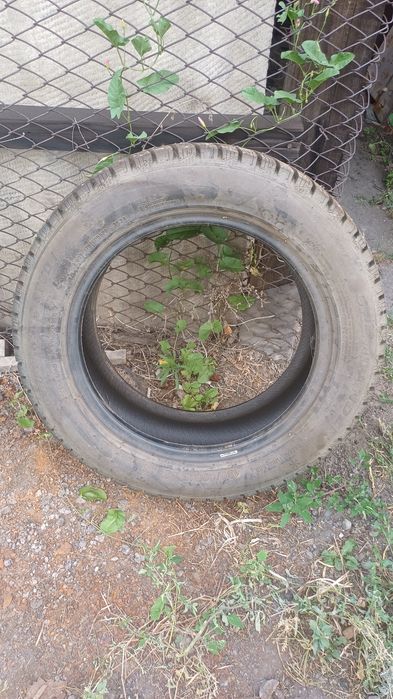 Продам шины комплект