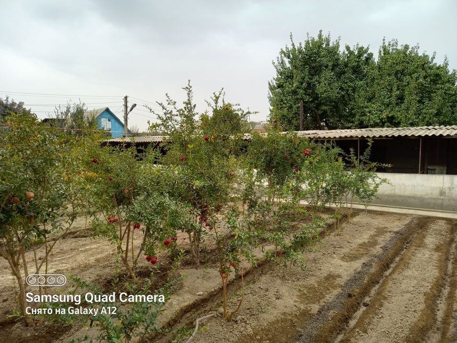 Загородный дом миниферма