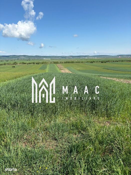 Teren extravilan 2393 mp | Gura Râului | acces, Carte Funciară