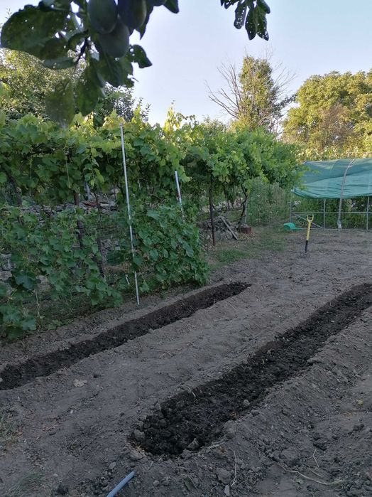 Продава се Къща в с. Стоб, Област Кюстендил - 110 кв.м за 1182 €/кв.м - Снимка #5