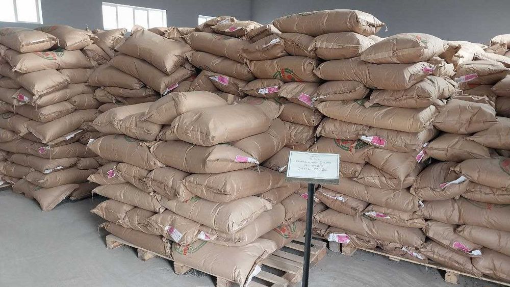 Urug'lik chigit (Tindirilgan)