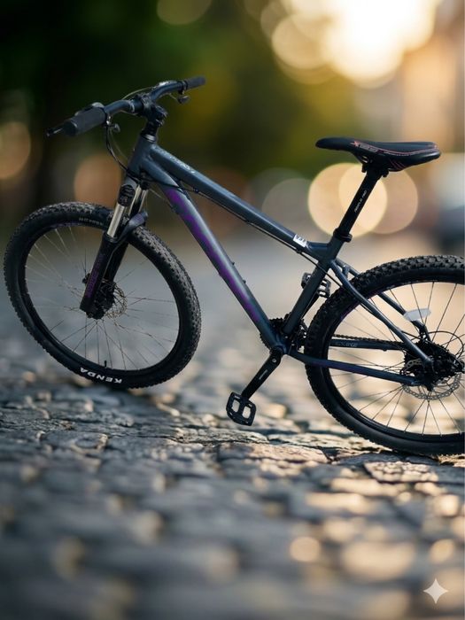 Велосипед Correa Vengeance 27,5