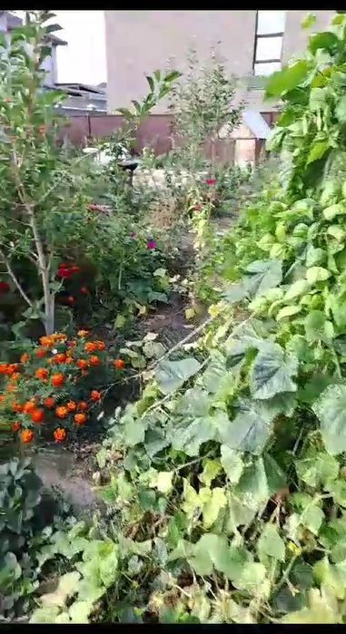 Продам жастар 1. времянку люкс