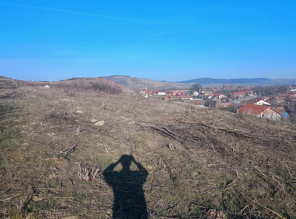 Teren de vanzare - loc. Sard - 1700 m2