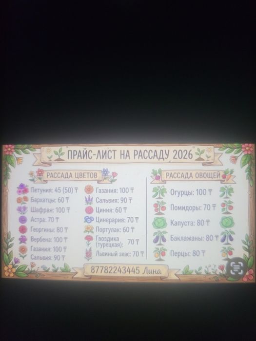 Продам рассаду овощей и цветов