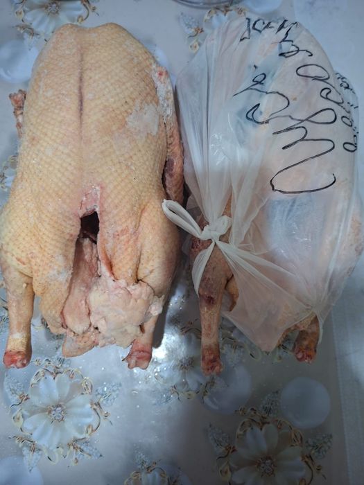 Гуси домашние свежие