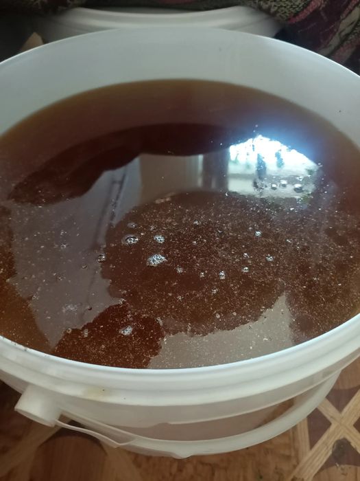 Продам мёд разнотравье