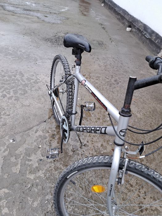 Велеспид пашти янгидай россиядан келган