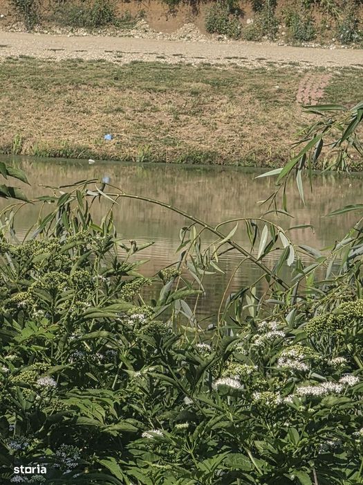 Branesti/Pasarea/Piteasca casa de vanzare deschidere la lac