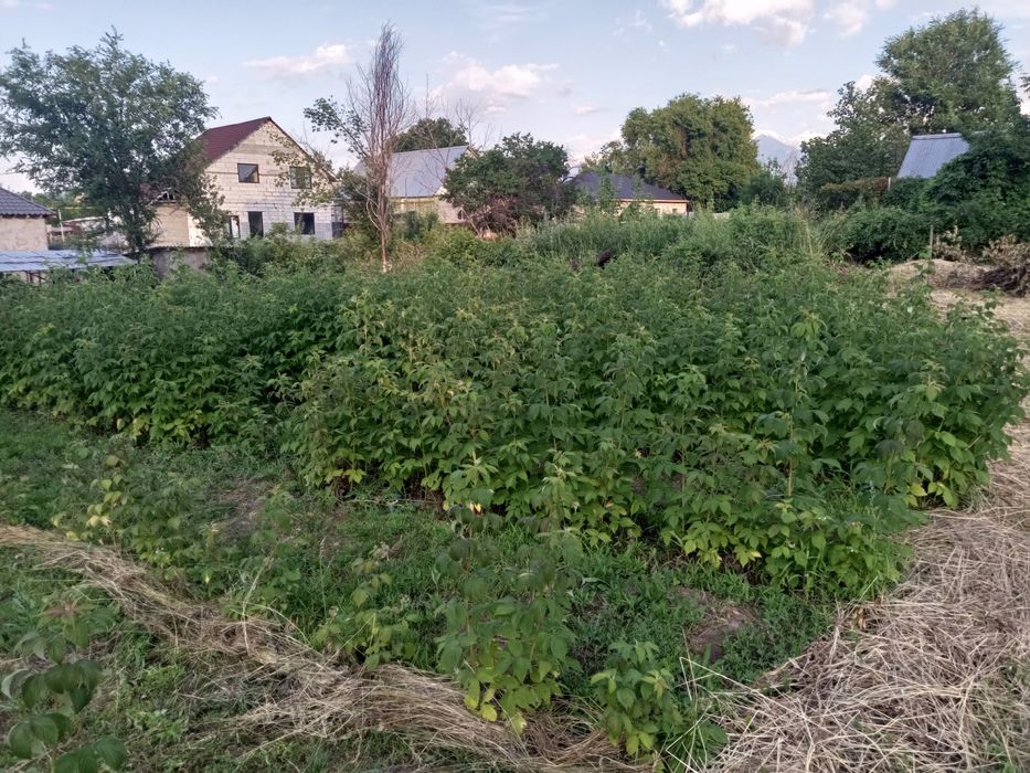 Дом  частный из двух половин