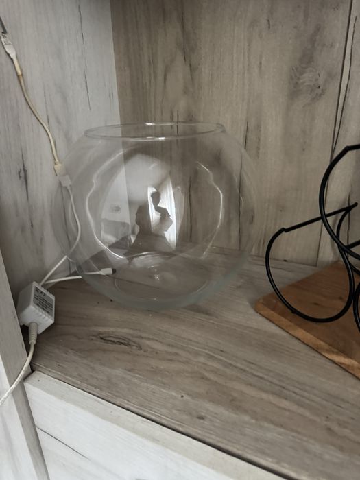 Bol ( acvariu ) ideal pesntru pesti beta