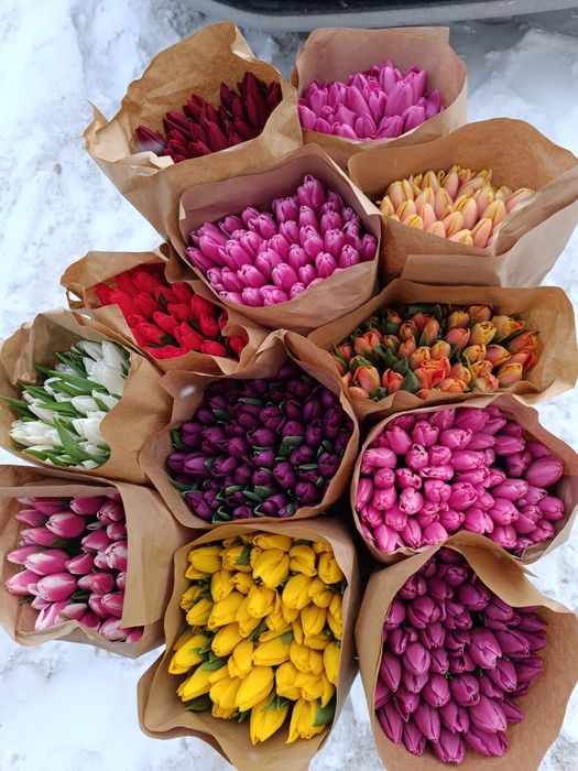 Тюльпаны в розницу от 550тг.