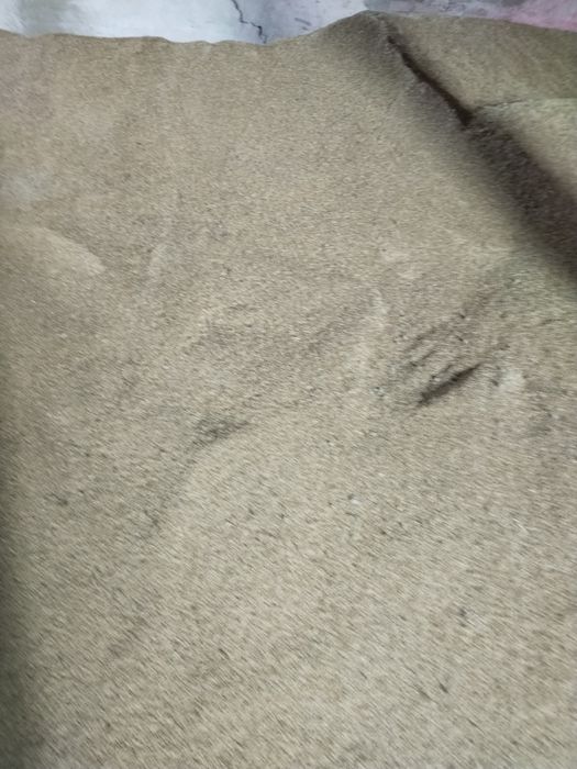 Ячмень сухой 2025