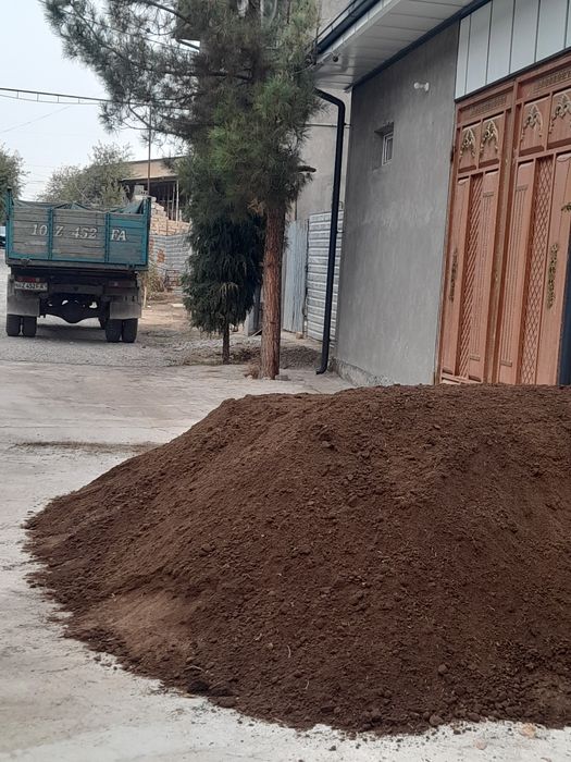 Gong biyagons etqazip beramiz