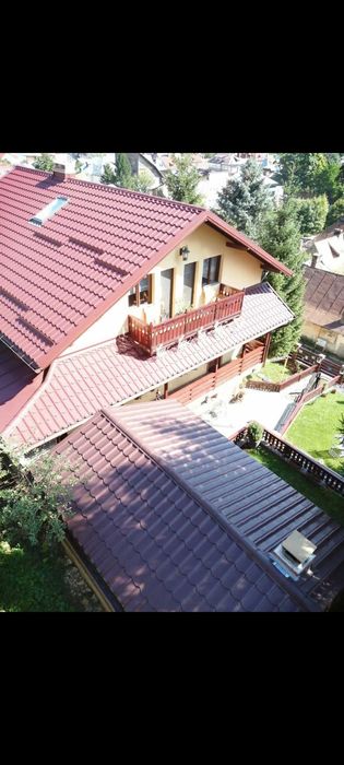 Cazare Pensiune/Vila lux Busteni