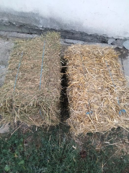 Vand baloti dreptunghiulari de paie de grâu si orz si baloti de fan
