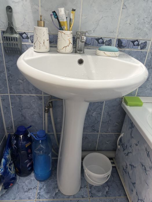 Раковина (Тюльпан)