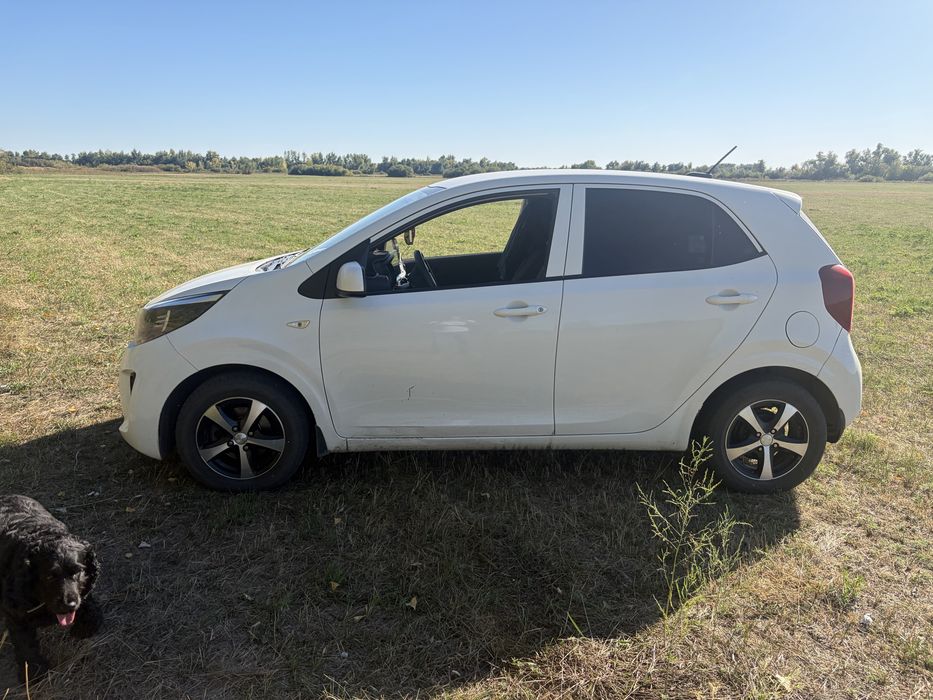 KIA picanto. 2019 год