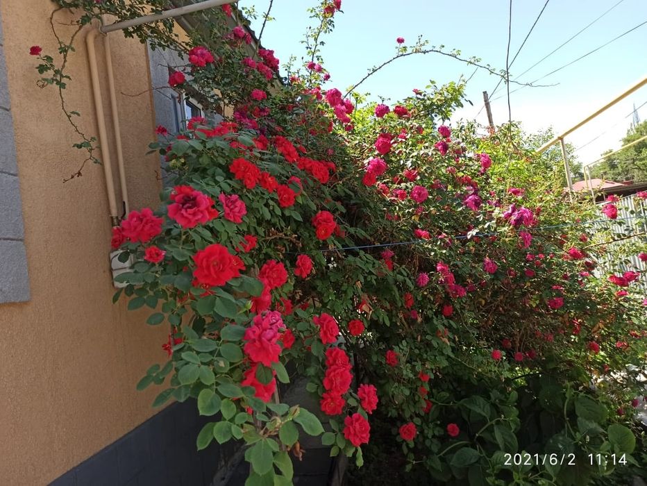 Продам  кирпичный  дом